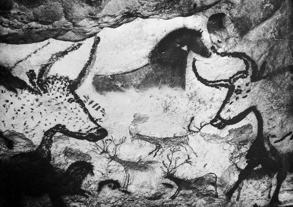 A black-and-white photograph of a curving cave wall painted with large outlined bulls, horses and small deer.