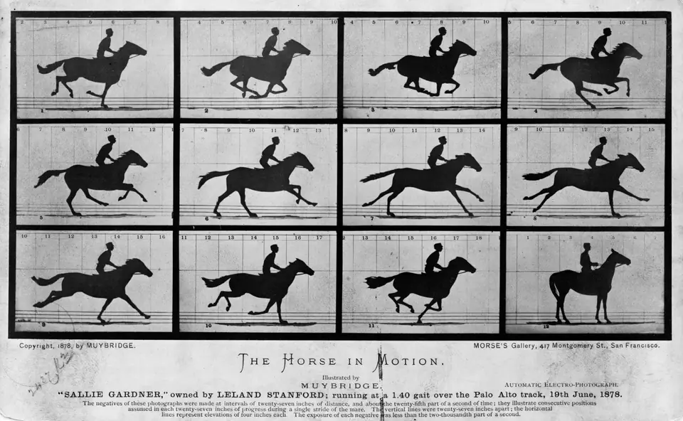 A grid of small photographs of a horse and rider galloping, each frame showing a slightly later moment.